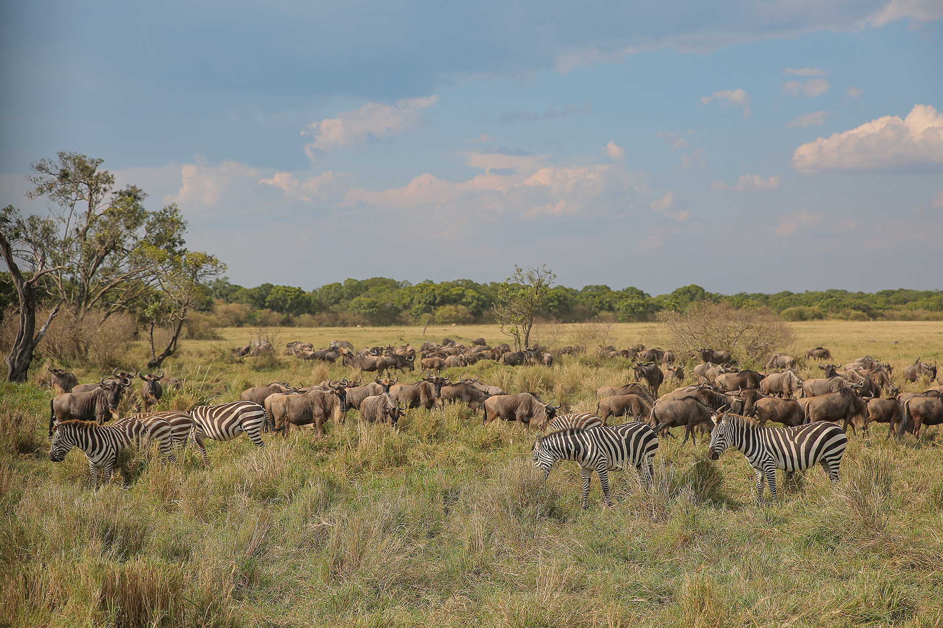 Spectacular Safari Bush & Beach Package!