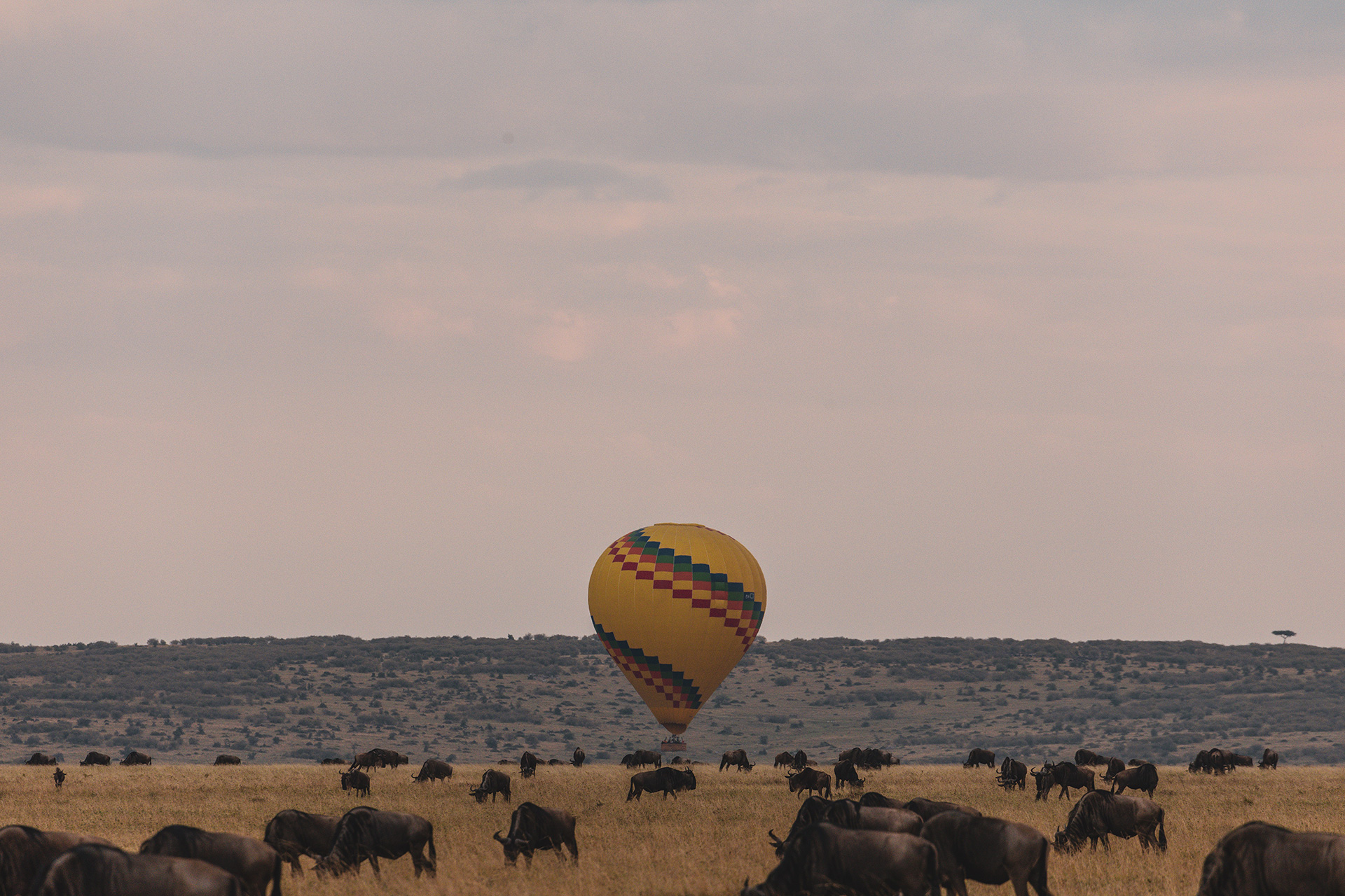 Spectacular Tanzania Safari